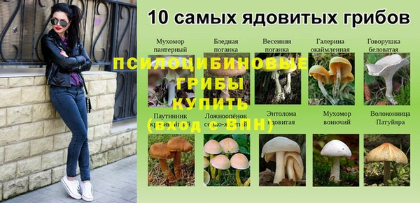 гидра Магадан