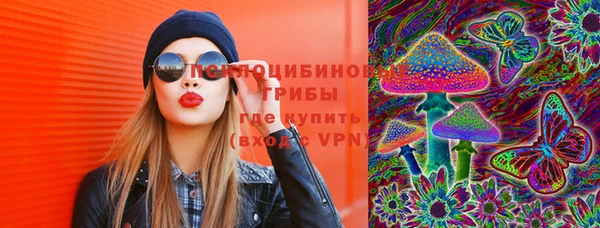 прущий лед Лиски