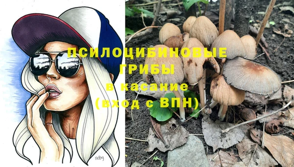 винт Магас