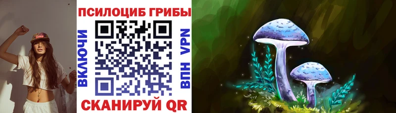 Галлюциногенные грибы Cubensis  Бокситогорск 