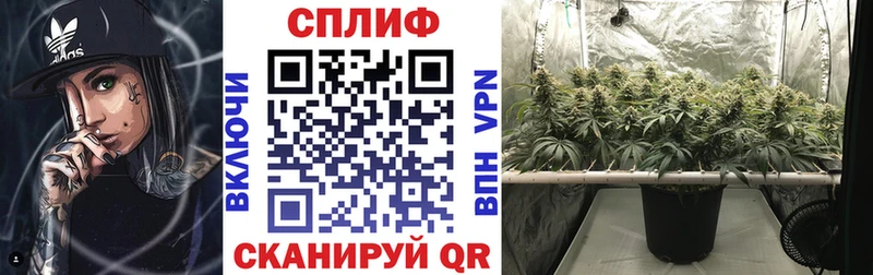 Бошки Шишки AK-47  Бокситогорск 